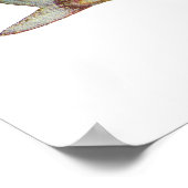 Poster Poisson - Garfish - Hyporhamphus intermédius (Coin)