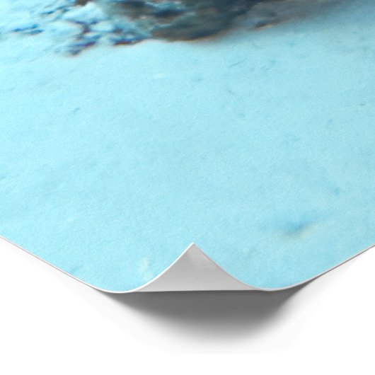 Poster Poisson gris (Coin)