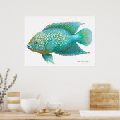 Poster Poisson Jack Dempsey Cichlid Imprimer (Cuisine)