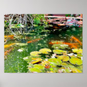 Poster Poisson Jardin d'étang à Puerto Vallarta (Devant)