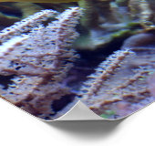 Poster Poisson jaune (Coin)