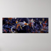 POSTER POISSON KOI AU-DESSUS DU FLUX #2 (Devant)