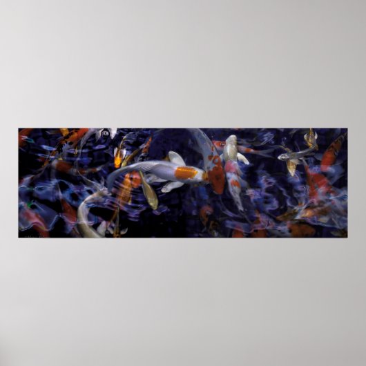 POSTER POISSON KOI AU-DESSUS DU FLUX #2 (Devant)