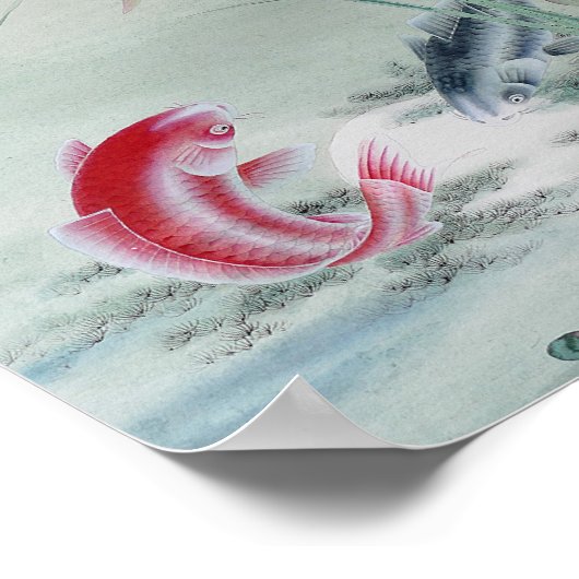 Poster Poisson Koi avec Lotus (Coin)