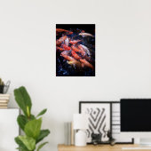 Poster Poisson Koi dans une frénésie alimentaire, Oahu (Bureau à domicile)