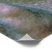 Poster Poisson-lézard équilibré (Coin)