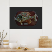 Poster Poisson long (Cuisine)
