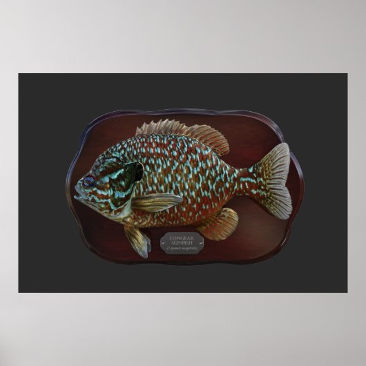 Poster Poisson long (Devant)
