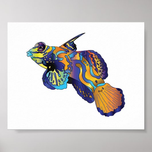 Poster - Poisson mandarin (Devant)