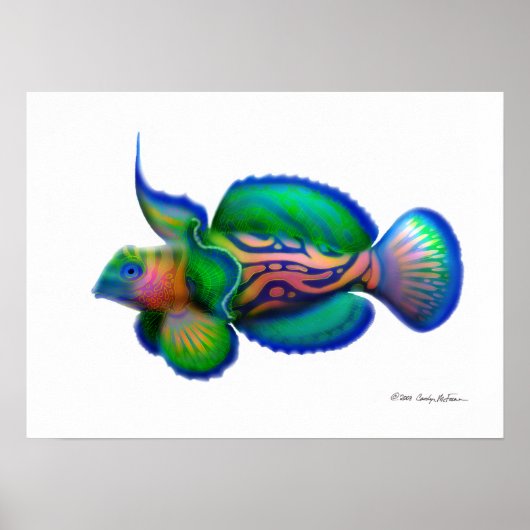 Poster Poisson mandarin psychédélique (Devant)