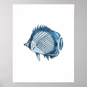Poster Poisson mer mer mer mer mer mer