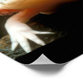 Poster poisson mexicain (Coin)