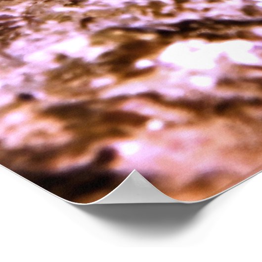 Poster Poisson-mouche géant (Coin)