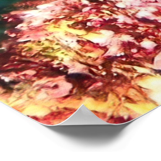 Poster Poisson-mouche géant-Galapagos (Coin)