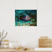 Poster Poisson mystérieux (Cuisine)