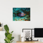 Poster Poisson mystérieux (Bureau à domicile)