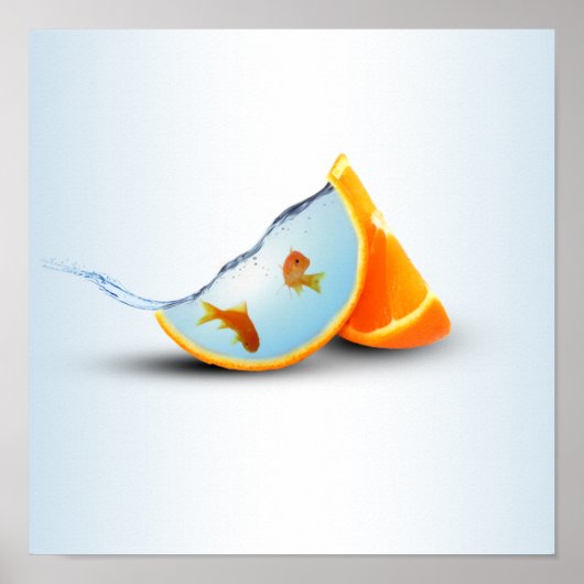 Poster Poisson orange et rouge (Devant)