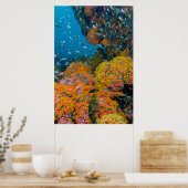 Poster Poisson Parmi La Barrière De Corail (Cuisine)