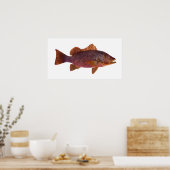 Poster Poisson - Perche de mer violet - Lutjanus superbus (Cuisine)