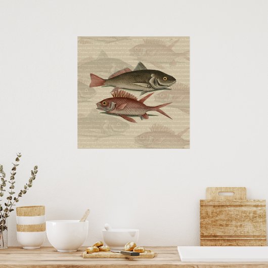 Poster Poisson Perche rouge Art pêcheur (Cuisine)