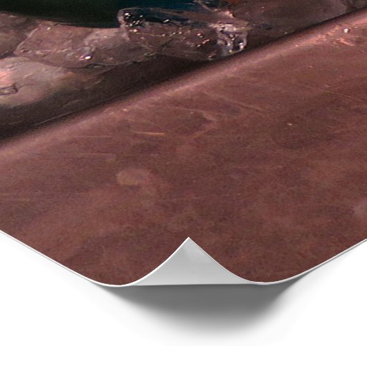 Poster Poisson perroquet (Coin)