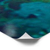 Poster Poisson-perroquet - Maquillage frappant! Photo col (Coin)