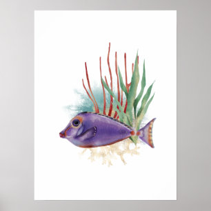 Poster Poisson pourpre et or Aquarelle simple