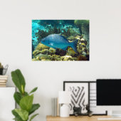 Poster Poisson récif (Bureau à domicile)