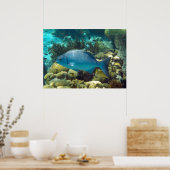 Poster Poisson récif (Cuisine)