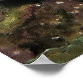 Poster Poisson-rogue pas bien cachée (Coin)