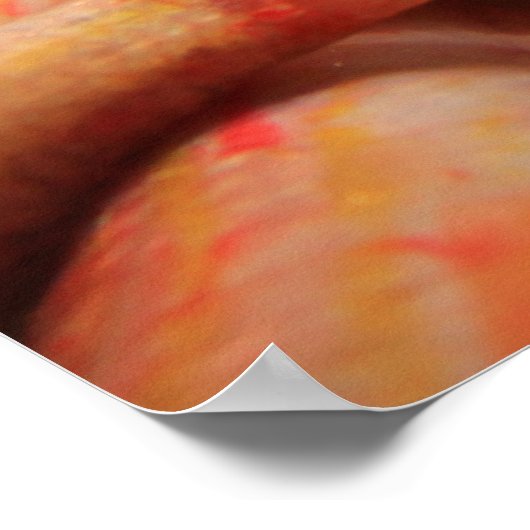 Poster Poisson rose Poster/Imprimer (Coin)