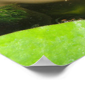 Poster Poisson rouge imprimé (Coin)