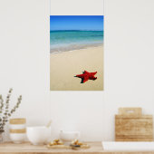 Poster Poisson Rouge Sur Plage De Sable Blanc (Cuisine)
