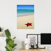 Poster Poisson Rouge Sur Plage De Sable Blanc (Bureau à domicile)
