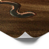 Poster Poisson RSS (Coin)