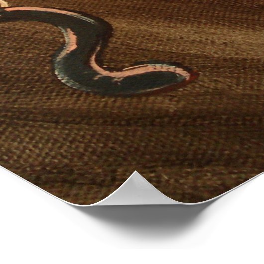 Poster Poisson RSS (Coin)