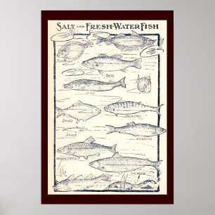 Poster Poisson salé et d'eau douce