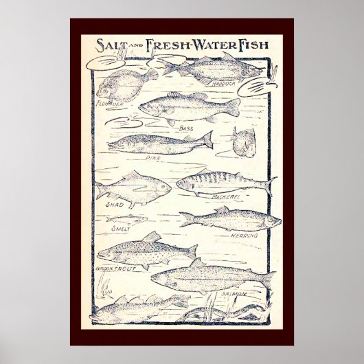 Poster Poisson salé et d'eau douce (Devant)
