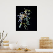 Poster Poisson Seadragon & crevettes mysid (Cuisine)