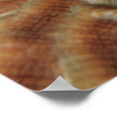 Poster Poisson sur corail du cerveau (Coin)