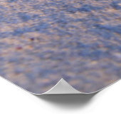 Poster Poisson Sur Sable Blanc (Coin)