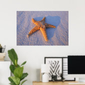 Poster Poisson Sur Sable Blanc (Bureau à domicile)