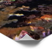 Poster Poisson surgéon rayé (Coin)