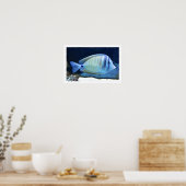 Poster Poisson tropical (Cuisine)