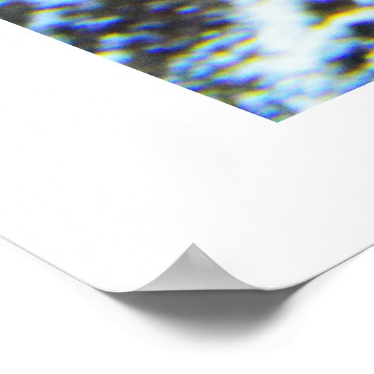 Poster Poisson tropical (Coin)