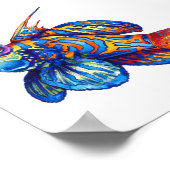 Poster - Poisson tropical (Coin)