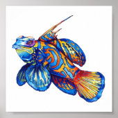 Poster - Poisson tropical (Devant)