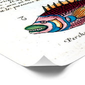 Poster Poisson tropical (Coin)