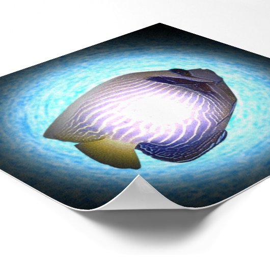 Poster Poisson tropical (Coin)