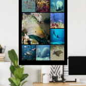 Poster Poisson tropical Vie aquatique (Bureau à domicile)